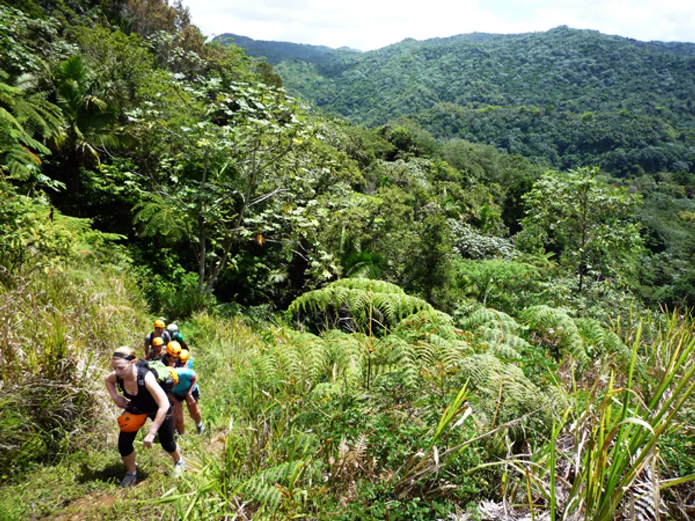 Hiking in Toro Negro State Forest: Conquer the Highest Peak