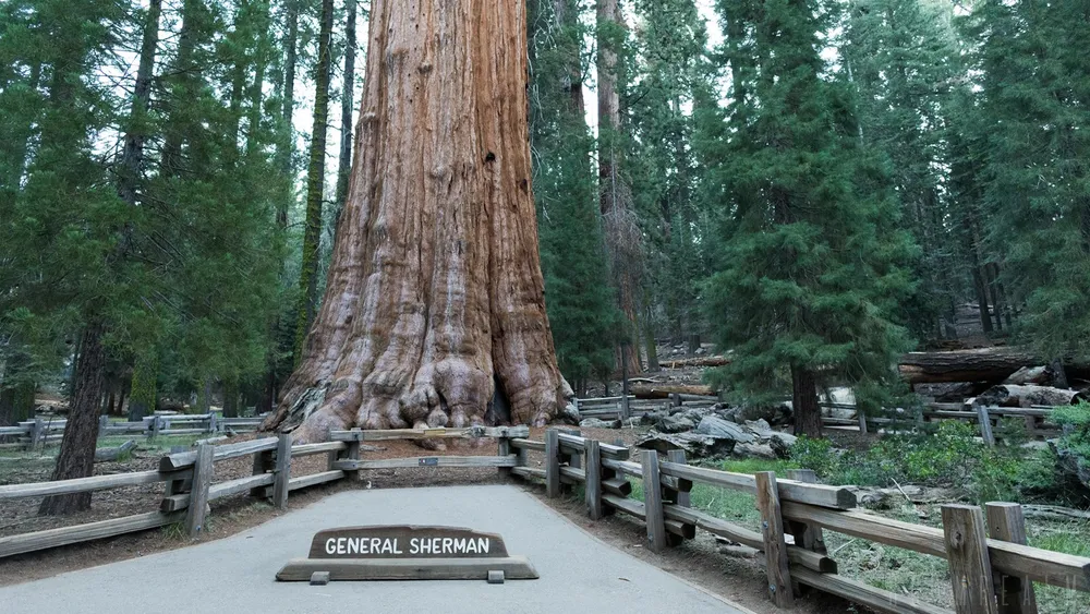 Adventures in Sequoia National Park: What to Do?