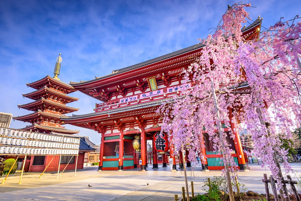 Urban Oasis: Tokyo, Japan