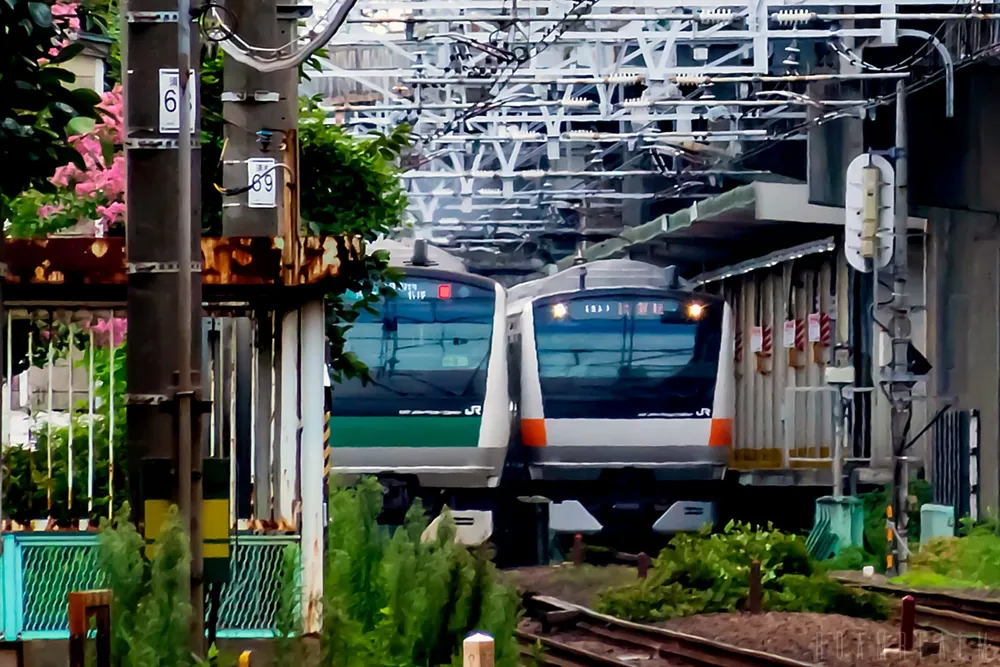 Navigating Tokyo's Public Transport